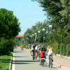 The bicycle paths in Bibione